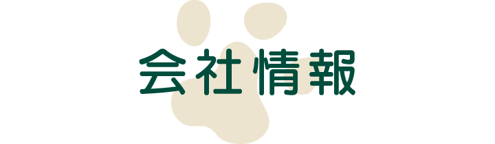 会社情報