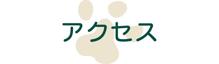 アクセス