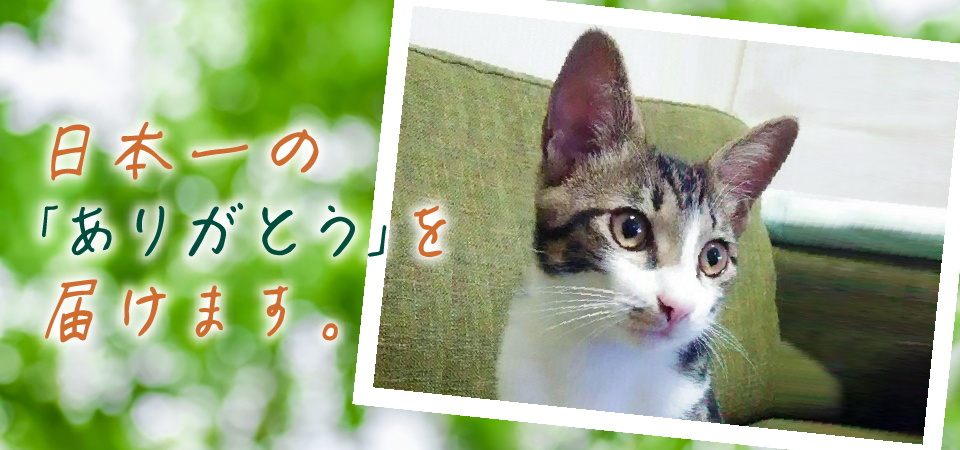 日本一の「ありがとう」を届けます。