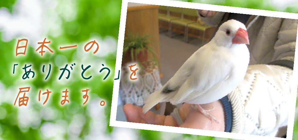 日本一の「ありがとう」を届けます。