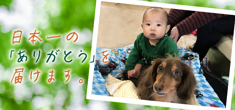 日本一の「ありがとう」を届けます。