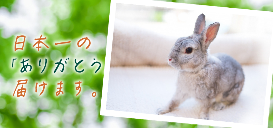日本一の「ありがとう」を届けます。