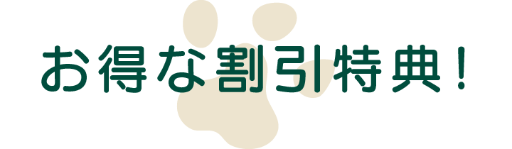 お得な割引特典！