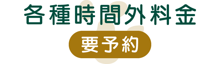 各種時間外料金（要予約）