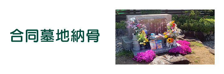 合同墓地納骨